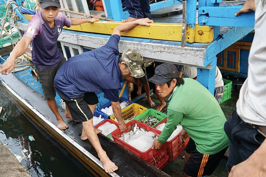 Bình Thuận đang triển khai các mô hình bảo vệ, tái tạo và phát triển nguồn lợi thủy sản. Ảnh: BẢO PHƯƠNG p23-cot-phai-9142-220.jpg