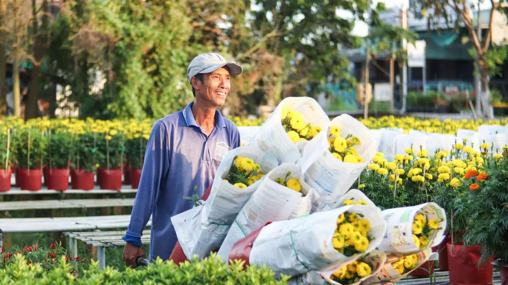 Xu thế xanh, sản xuất xanh là xu thế toàn cầu không thể đảo ngược, quốc gia nào đi trước sẽ thành công trước. Ảnh: HUỲNH DU lang-hoa-sa-dec.jpg