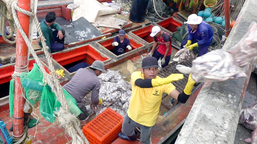 Chủ tịch Phạm Văn Thiều: Bạc Liêu phát triển hướng ra biển, làm giàu từ kinh tế biển