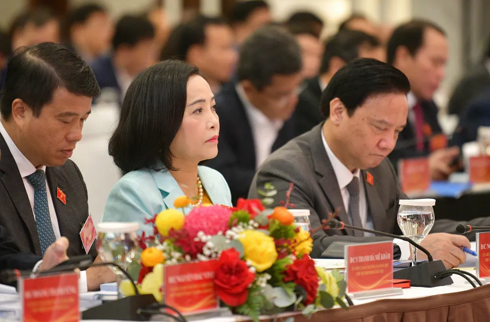 Các đại biểu tham dự tại hội nghị. Ảnh: TN tp-hcm-va-mot-so-dia-phuong-dang-thieu-pho-chu-tich-hdnd (3).jpg