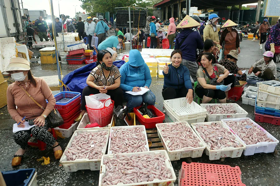 Sản lượng khai thác hải sản bốn tháng đầu năm của Thanh Hóa được khoảng 17,7 ngàn tấn, trong đó chủ yếu là cá ngừ, mực, bạch tuộc… Ảnh: ĐT Thanh Hóa: Nỗ lực gỡ 'thẻ vàng' IUU