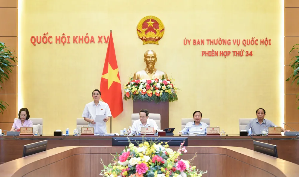 Phó Chủ tịch Quốc hội Nguyễn Đức Hải phát biểu tại phiên họp. Ảnh: PHẠM THẮNG Giảm 2% thuế VAT thêm 6 tháng, ngân sách có thể hụt 24.000 tỉ đồng