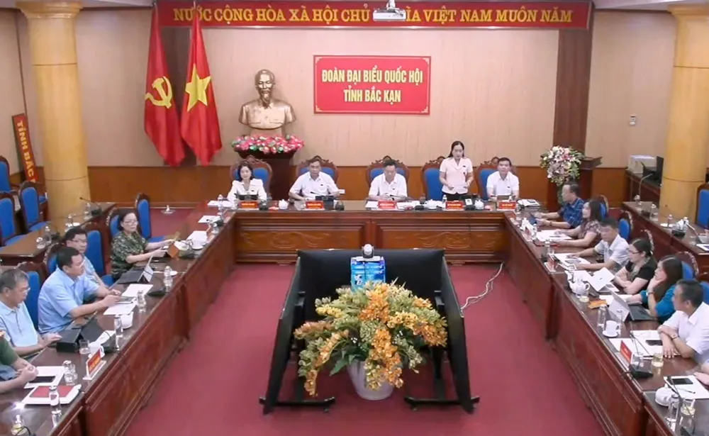 ĐB Hồ Thị Kim Ngân (Đoàn ĐBQH tỉnh Bắc Kạn). Ảnh: QH Sáp nhập huyện, xã giai đoạn 2023-2025: Tiến độ rất chậm, vì sao? sắp xếp cán bộ