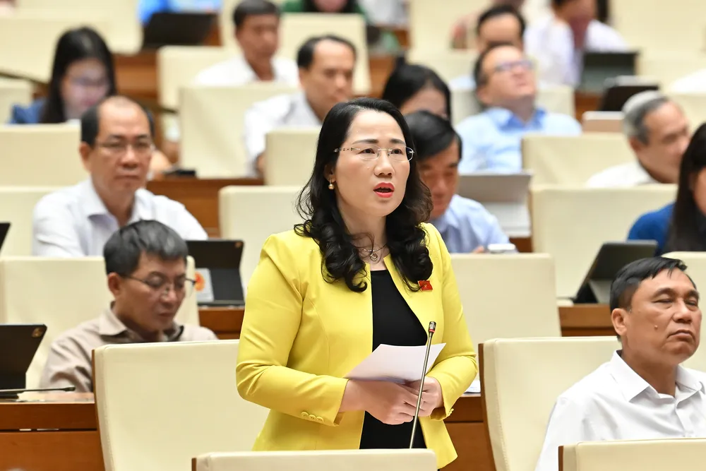 Quốc hội tranh luận việc thành lập tòa phá sản, tòa sở hữu trí tuệ