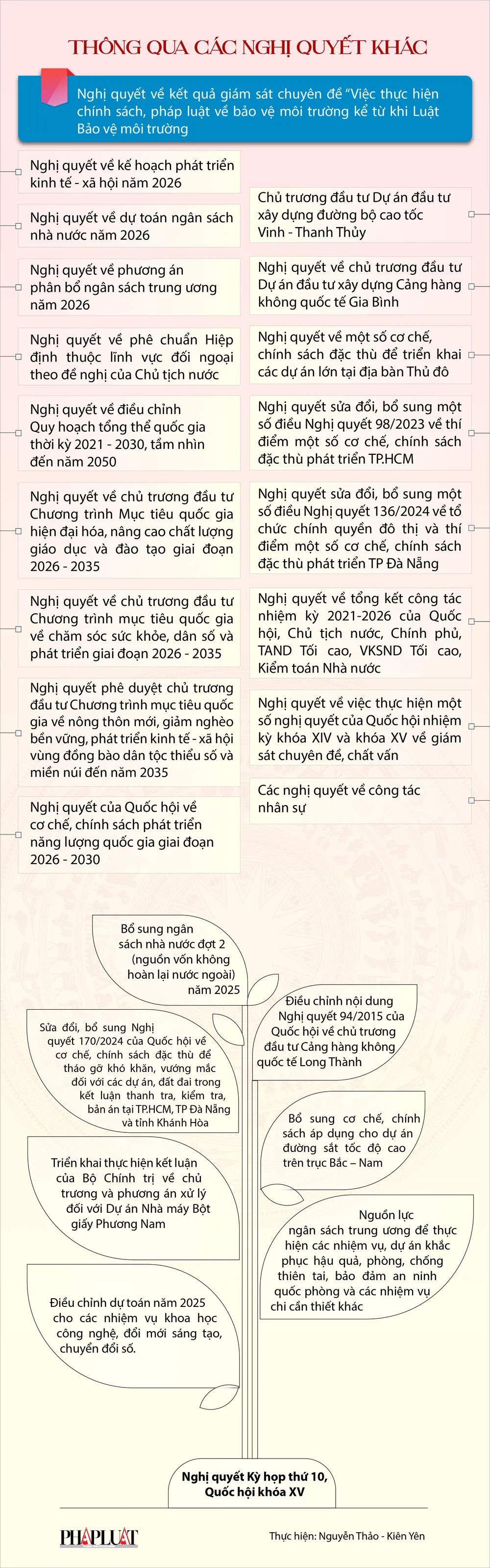 infographic-nhung-dau-an-noi-bat-ve-lap-phap-cua-ky-hop-thu-10-quoc-hoi-khoa-xv-3.png