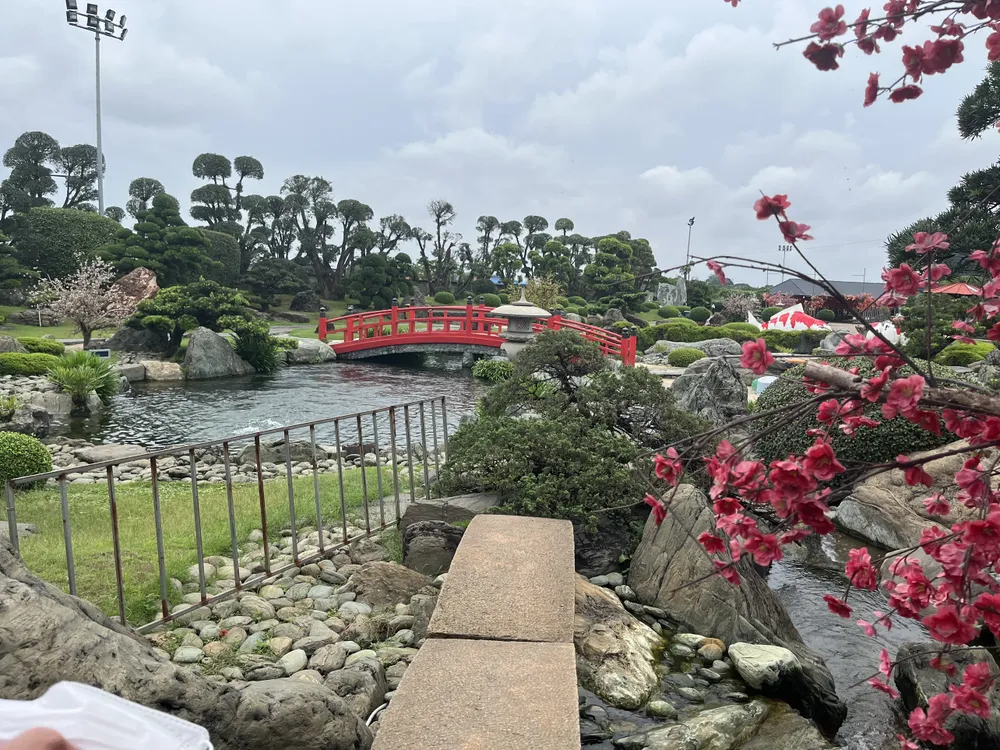 Công viên cá koi ở Hóc Môn, nơi có phong cảnh thanh bình thu hút nhiều du khách đến trải nghiệm. Ảnh: HOÀNG HIẾU