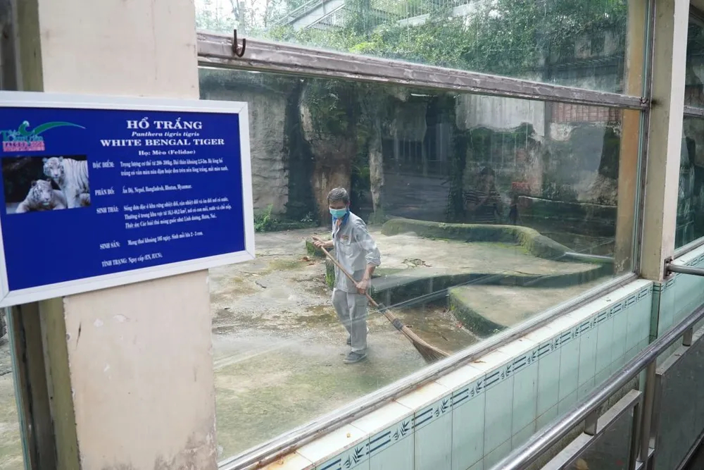 Nhân viên chăm sóc hổ, vệ sinh từng bước như lau quét dọn khu vực chuồng, rửa máng nước… thao-cam-vien-sai-gon15.JPG