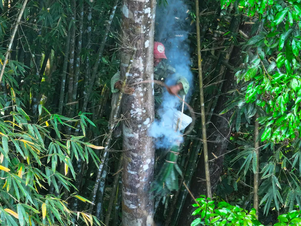 bắt ong khoái (15).jpg