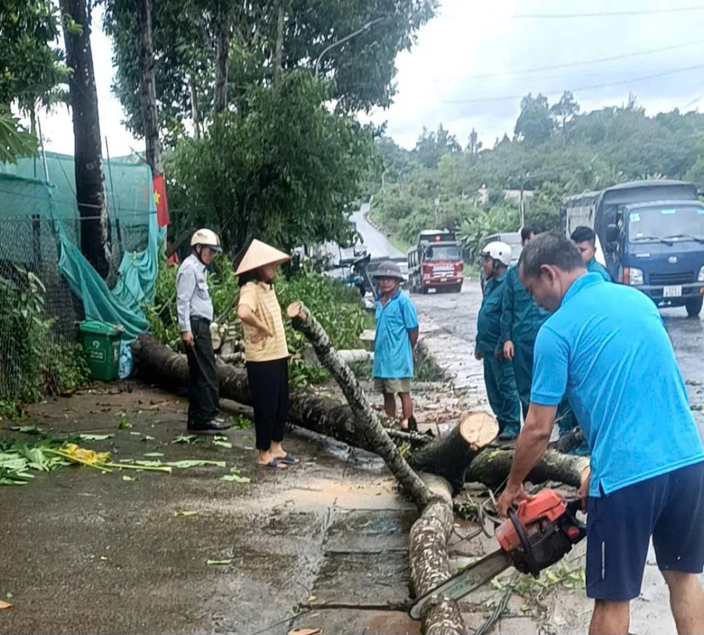 Quốc lộ 20 (2).jpg