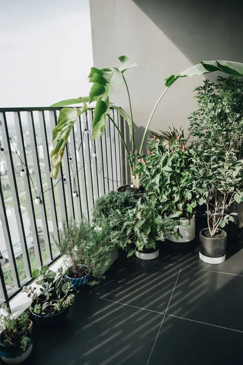 Căn hộ Sài Gòn tông màu khác lạ được chủ nhà chọn từng viên gạch