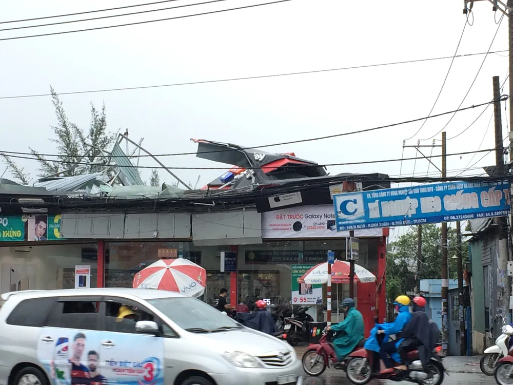 Ảnh hưởng bão, hàng loạt cây xanh ở TP.HCM bật gốc ảnh 3