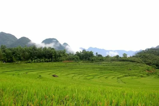 Về quê thủ môn Tiến Dũng: Ăn gì, chơi đâu? - Ảnh 3.