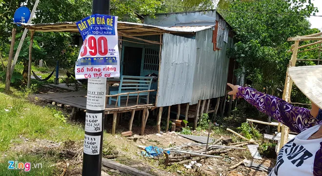 Pho thu tuong chi dao thanh tra dat nong nghiep o Phu Quoc hinh anh 2