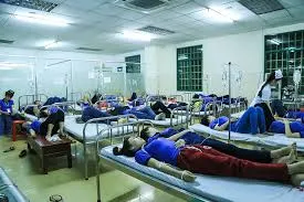 Bán thức ăn có dòi sẽ bị phạt ảnh 2