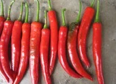 Những mẹo dễ thực hiện giúp giảm cân nhanh tại nhà ảnh 2 Thực phẩm giúp giảm cân nhanh sau tết