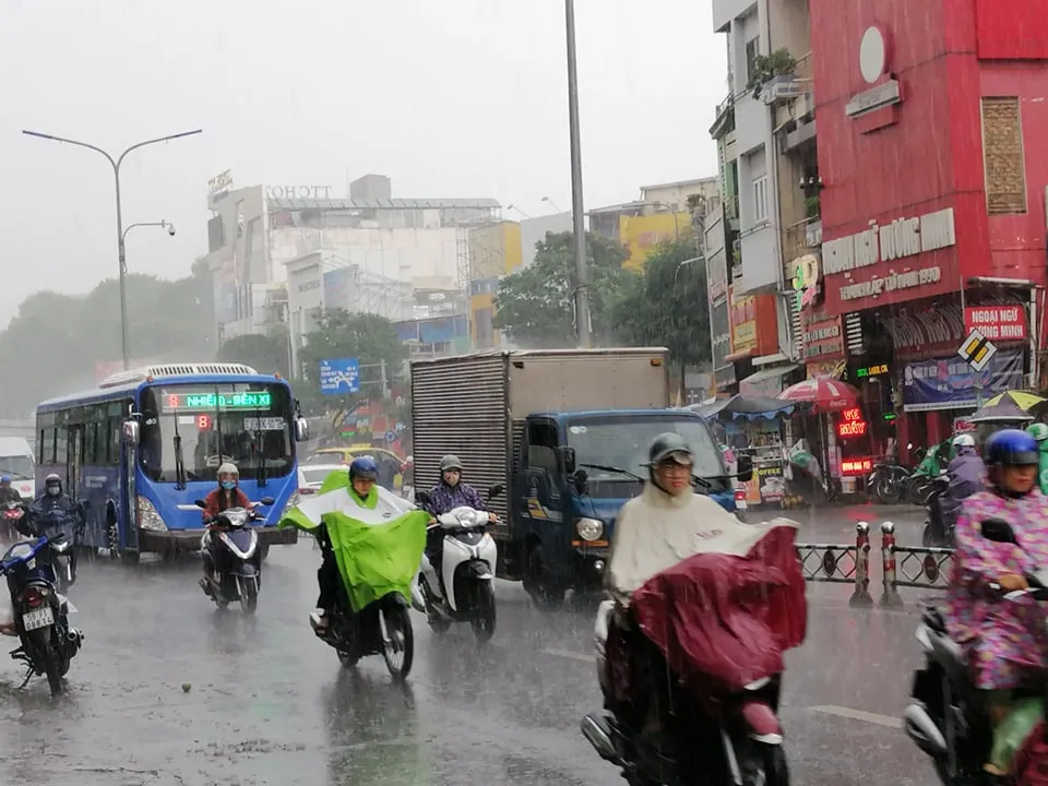 mua-tai-duong-hoang-van-thu-4