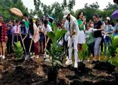 Trồng 30.000 cây xanh góp phần ‘Phủ xanh Việt Nam’