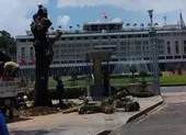 Loại cây được trồng thay thế ở Dinh Độc Lập là cây gì? ảnh 3 Lý do cây xanh lâu năm trước Dinh Độc Lập bị đốn hạ