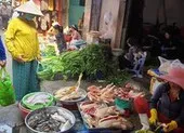 TP.HCM xét nghiệm virus SARS-CoV-2 với thực phẩm nhập khẩu ảnh 1 TP.HCM lên kế hoạch kiểm tra thực phẩm ở các chợ