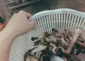 Điều gì xảy ra nếu ăn 5 phần rau trong khẩu phần ăn ảnh 2 Các loại rau quả tốt nhất giúp tăng tuổi thọ