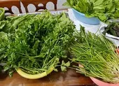Hướng dẫn cách ăn uống lành mạnh để duy trì sức khỏe ảnh 2 Cách giữ chất dinh dưỡng trong trái cây và rau xanh