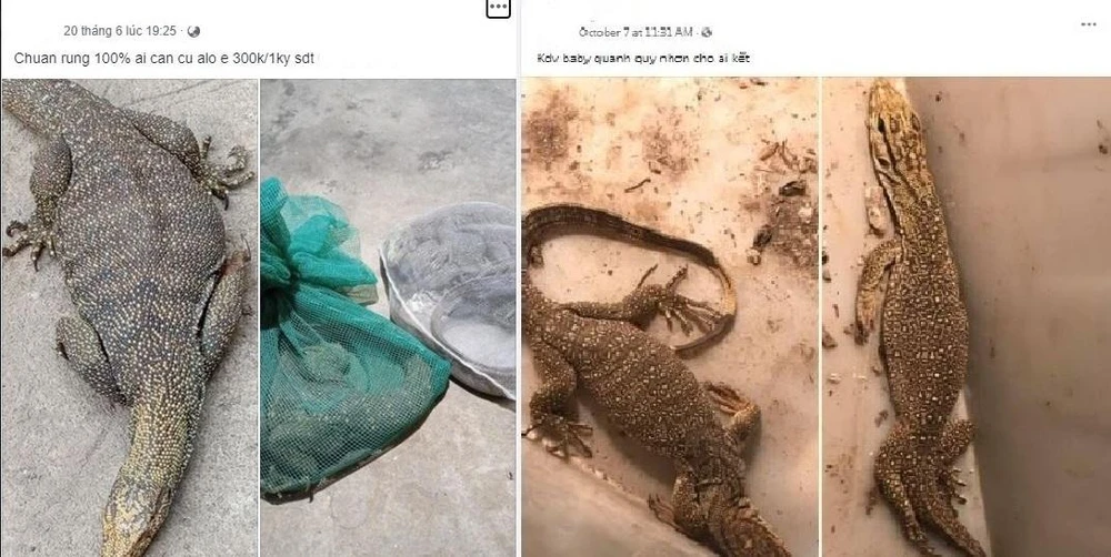 ĐVHD được rao bán trên mạng xã hội. Ảnh: ENV