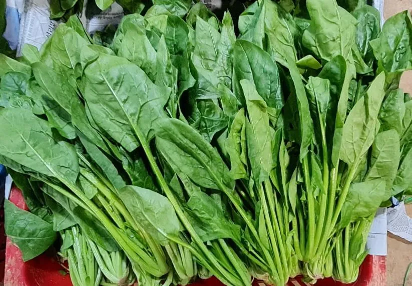 Rau xanh có chứa nhiều chất xơ tốt cho cơ thể. Ảnh: NGUYÊN VÕ