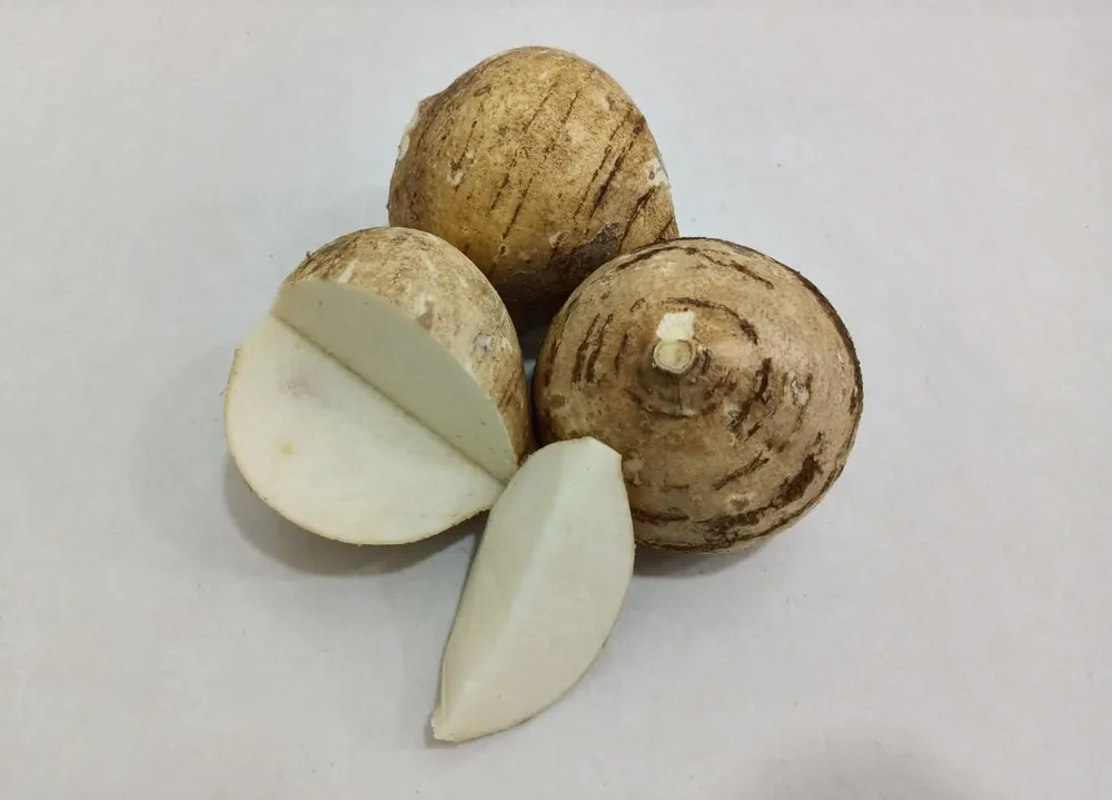 Củ đậu là nguồn cung cấp nhiều chất dinh dưỡng cho cơ thể. Ảnh: NGUYÊN VÕ