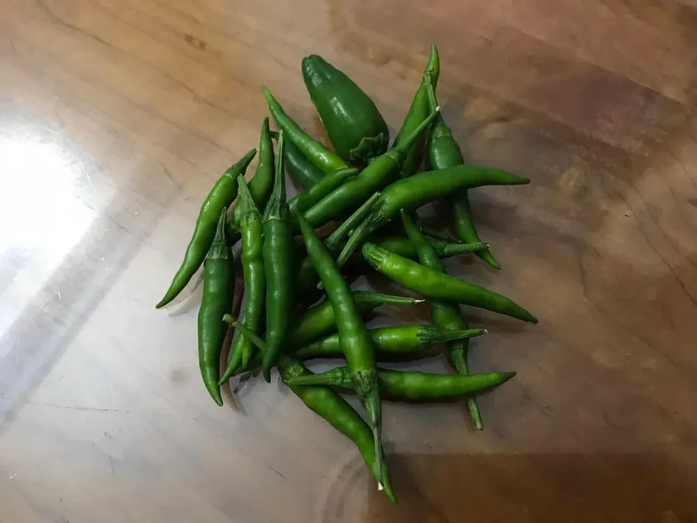 Thêm ớt vào chế độ ăn uống có thể làm tăng quá trình trao đổi chất. Ảnh: NV