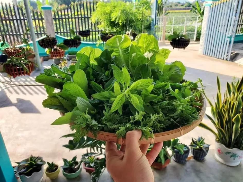 Một thói quen không tốt là không ăn đủ rau và trái cây vào buổi sáng. Ảnh: NV