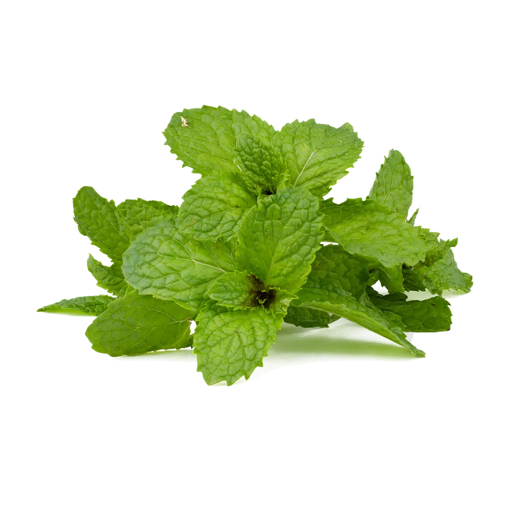 Tiêu thụ bạc hà tốt cho tiêu hóa. Ảnh:PIXABAY