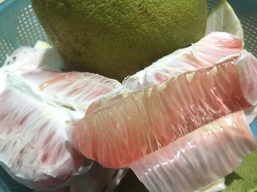 Bưởi có chứa nhiều vitamin C giúp tăng cường khả năng miễn dịch. Ảnh: NHẬT LINH Bưởi có chứa nhiều vitamin C giúp tăng cường khả năng miễn dịch. Ảnh: NHẬT LINH