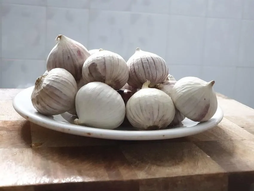 Tỏi chứa nhiều chất chống oxy hoá tốt cho cơ thể. Ảnh: NGUYÊN VÕ Tỏi chứa nhiều chất chống oxy hoá tốt cho cơ thể. Ảnh: NGUYÊN VÕ