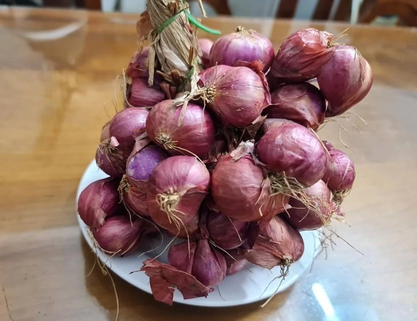 Vỏ hành tím có tác dụng giảm viêm, giảm huyết áp. Ảnh: NGUYÊN VÕ
