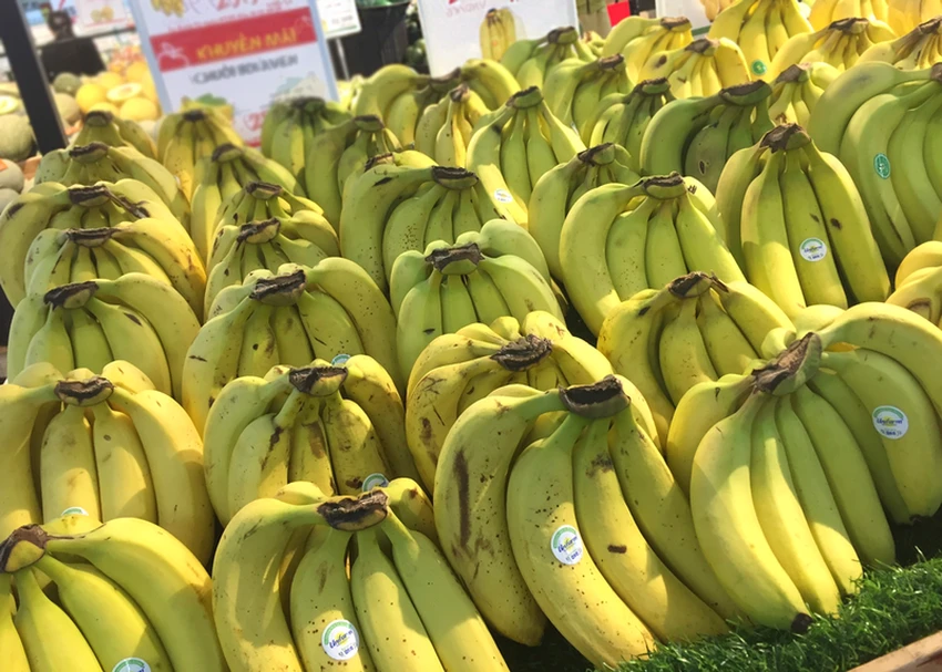 Chuối là nguồn cung cấp kali rất tốt. Ảnh: NHẬT LINH