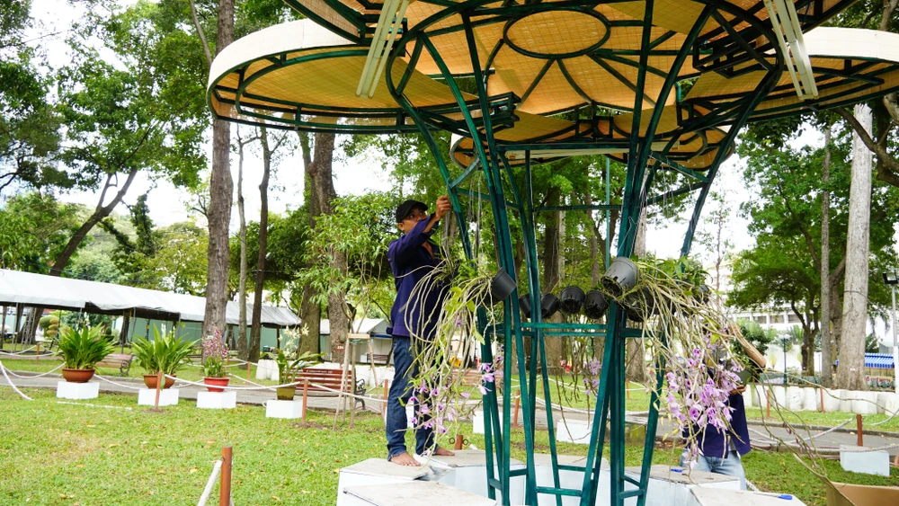 Năm nay hứa hẹn có nhiều tác phẩm độc đáo