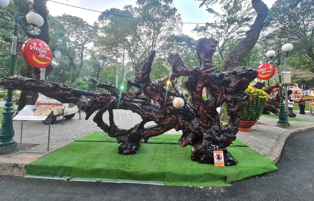 Tác phẩm đã được tổ chức kỷ lục Việt Nam công nhận là tác phẩm từ rễ cây khô nguyên khối lớn nhất Việt Nam vào tháng 9-2022