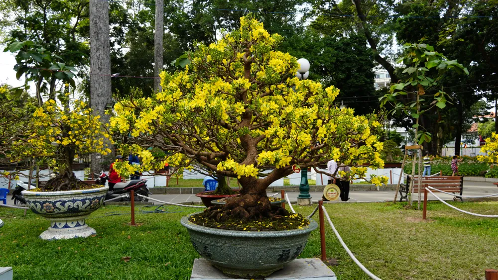 Một trong những tác phẩm đoạt giải đặc biệt tại hội hoa xuân ở TP.HCM