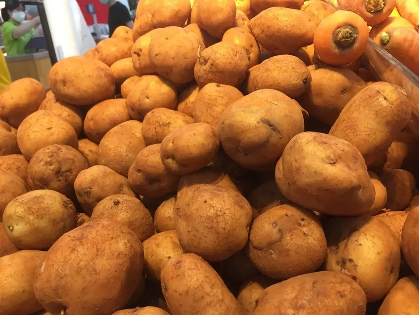 Nên bảo quản khoai tây bên ngoài tủ lạnh. Ảnh: NHẬT LINH Nên bảo quản khoai tây bên ngoài tủ lạnh. Ảnh: NHẬT LINH