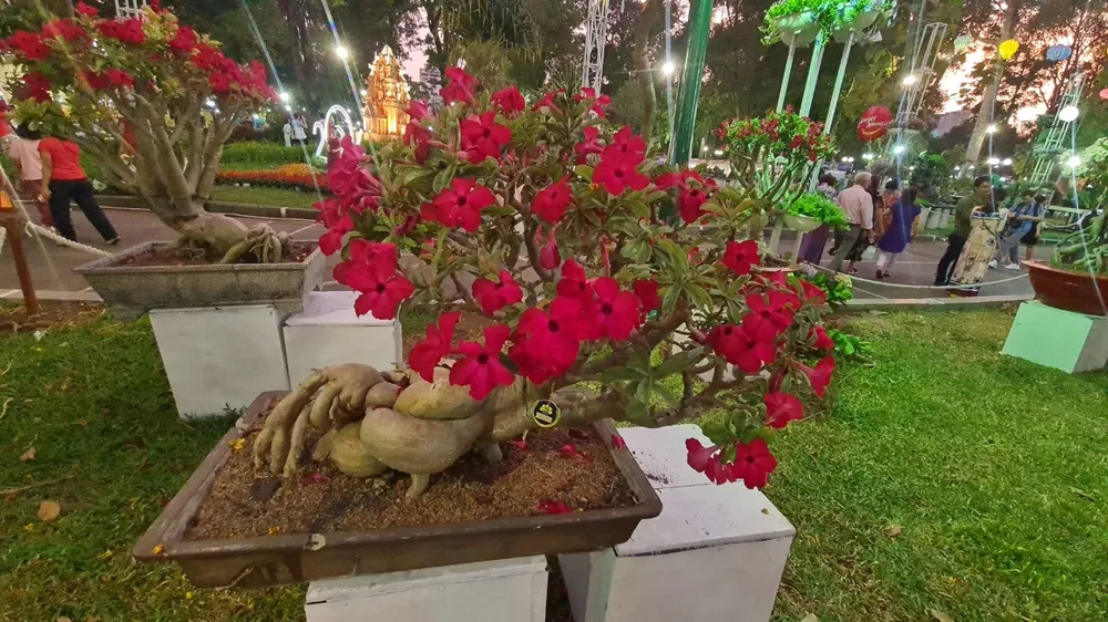 khai mac hoi hoa xuan 15.jpg