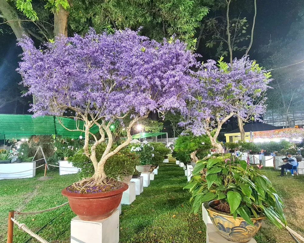 khai mac hoi hoa xuan 2.jpg