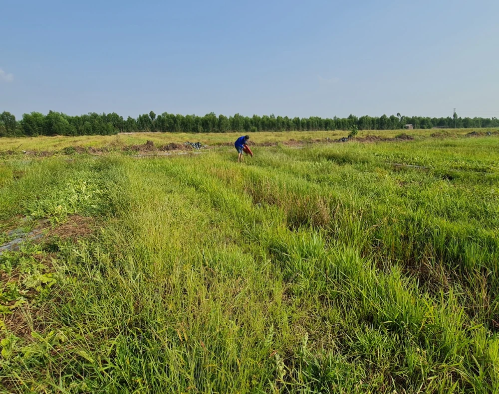 Nắng nóng gay gắt sẽ tiếp tục kéo dài ở Nam bộ