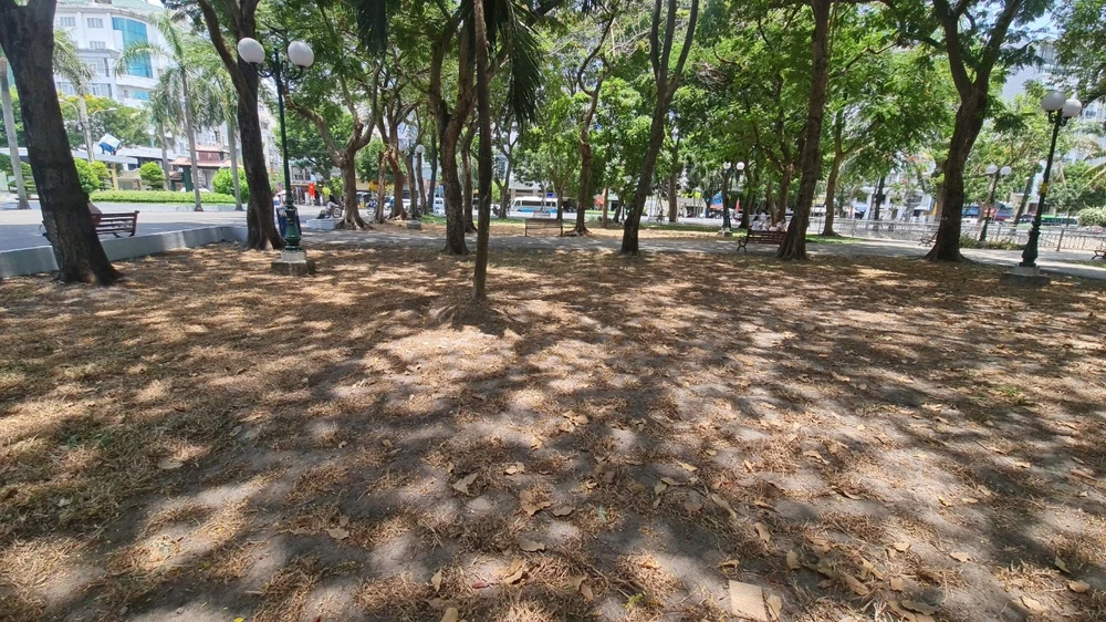 cong vien 23-9 co mat .jpg