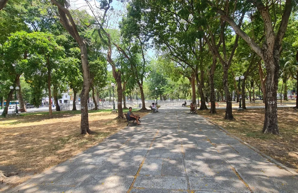 Nhiều thảm cỏ ở Công viên 23-9 'biến mất' sau khi tổ chức ngày hội du lịch