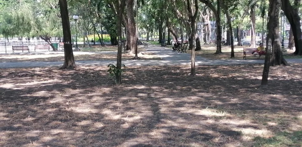 Công viên 23-9 'xơ xác', Phó Chủ tịch UBND TP.HCM chỉ đạo xử lý gấp