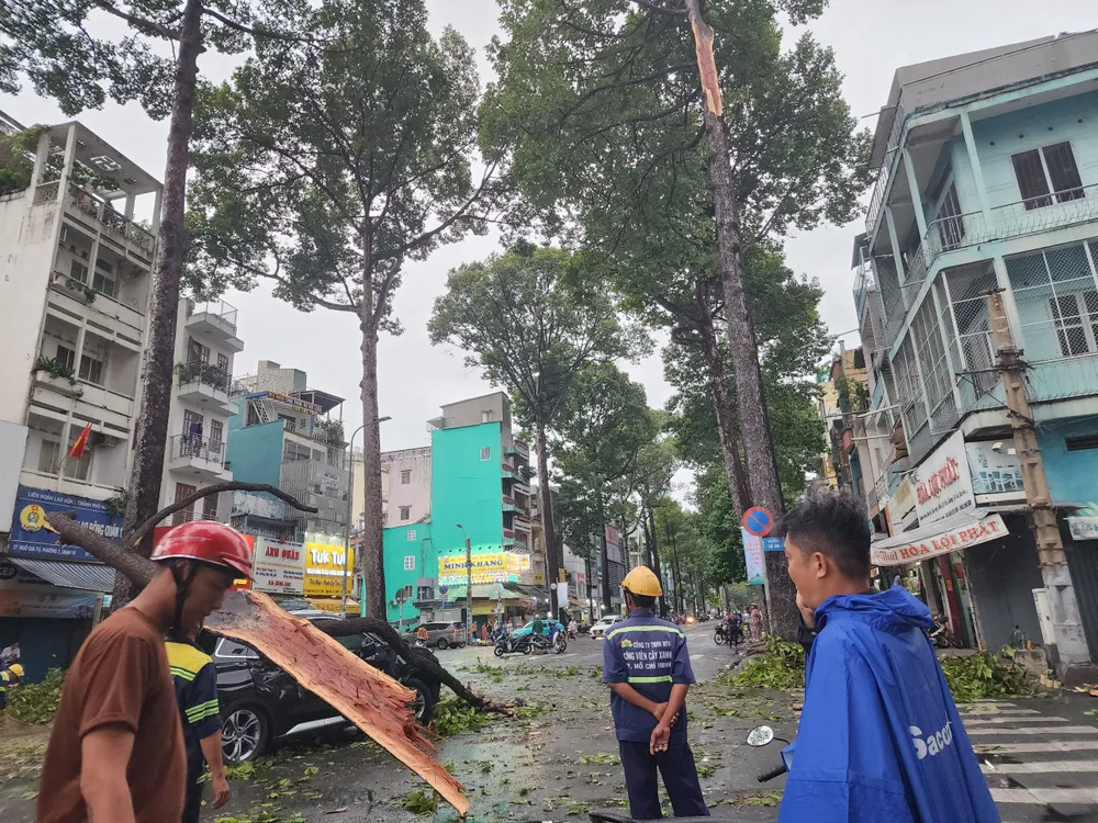 Lực lượng chức năng dọn dẹp cây xanh bị ngã đổ chiều 14-7. Ảnh: NT mưa làm đổ cây xanh ở nam bộ 2.jpg