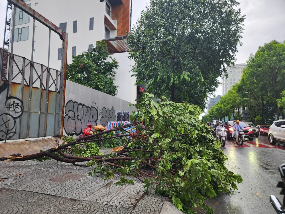 Nhiều nhánh cây cũng bị gió mạnh quật gãy xuống lòng đường, gián đoạn giao thông. Người dân phải kéo những nhánh cây bị gãy vào vỉa hè để cho xe đi lại. Ảnh: NT mưa làm đổ cây xanh ở nam bộ 3.jpg