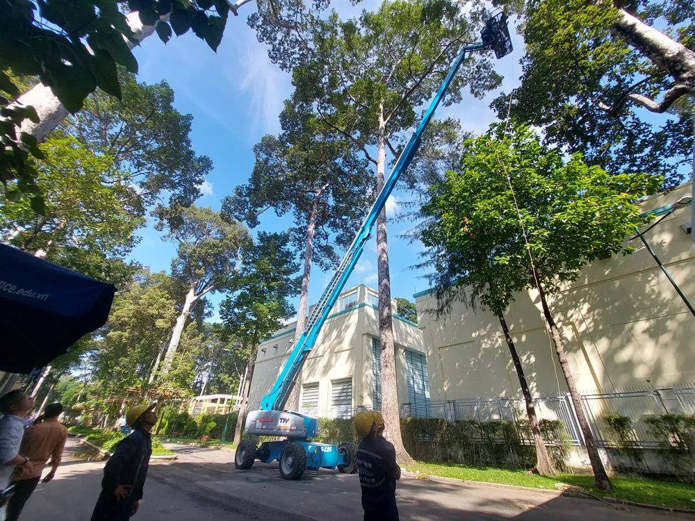 TP.HCM tăng cường thêm các xe chuyên dụng và flycam để kiểm tra cây xanh chăm sóc cây xanh.jpg