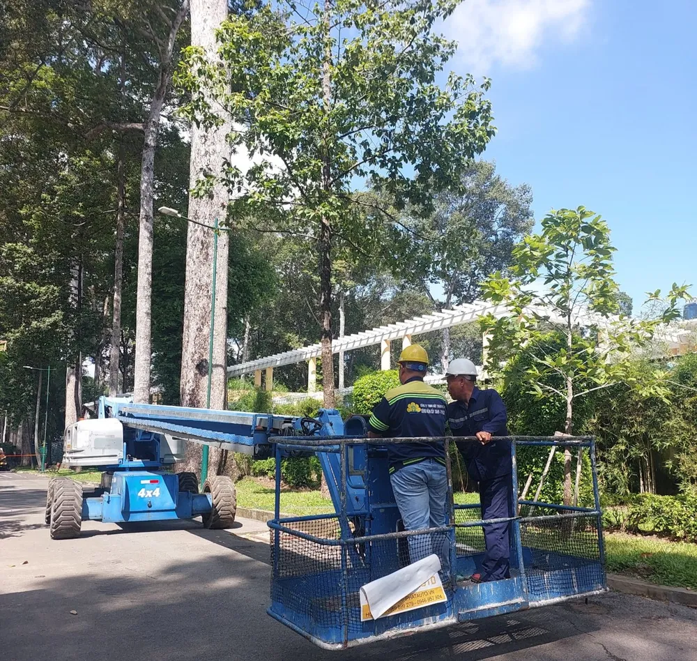 Xe chuyên dụng được sử dụng để chăm sóc và kiểm tra cây xanh. Ảnh: NC Xe chuyên dụng được sử dụng để chăm sóc và kiểm tra cây xanh. Ảnh: NC