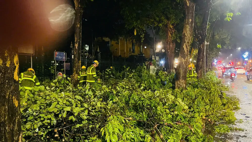 bão số 3 cây xanh Hà nội 1.jpg